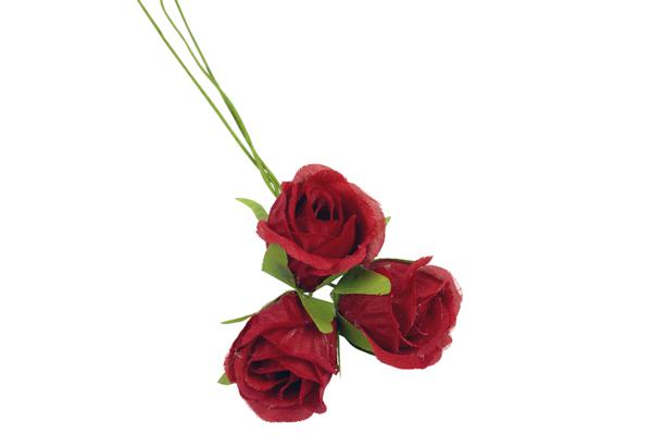 FIORE_ROSELLINA_ROSSO