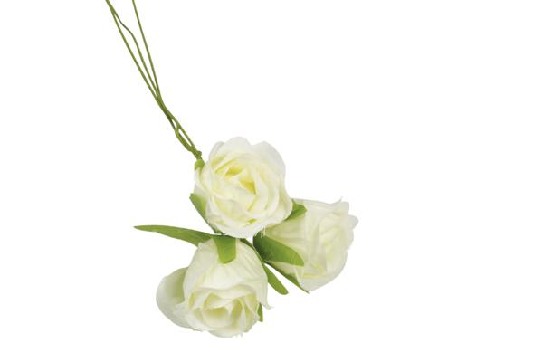 FIORE_ROSELLINA_PANNA