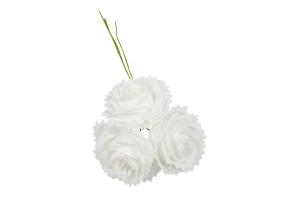 ROSELLINA_CON_PETALI_STELLA_BIANCO