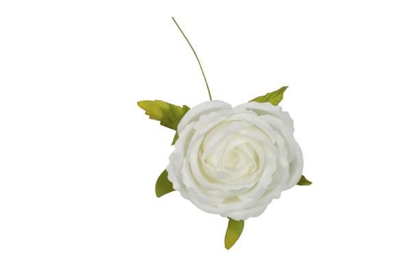 ROSA_PANNA