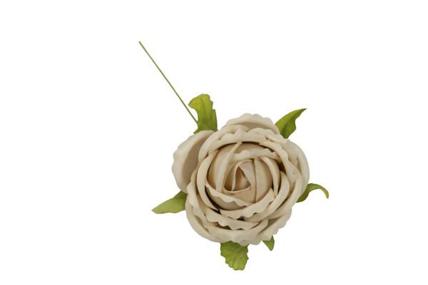 ROSA_BEIGE